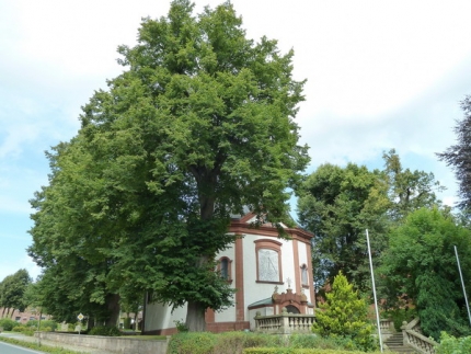 Bild 3 von 6 Linden an der Wallfahrtskapelle